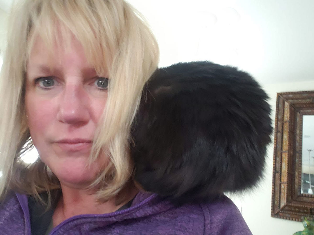 cindy terwilliger with cat cindy terwilliger